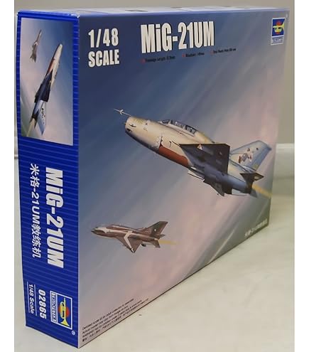 Amazon.co.jp: HOBBYMASTER MIG-25 FOXBAT HA5609 : Hobbies